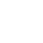 Jalgpall